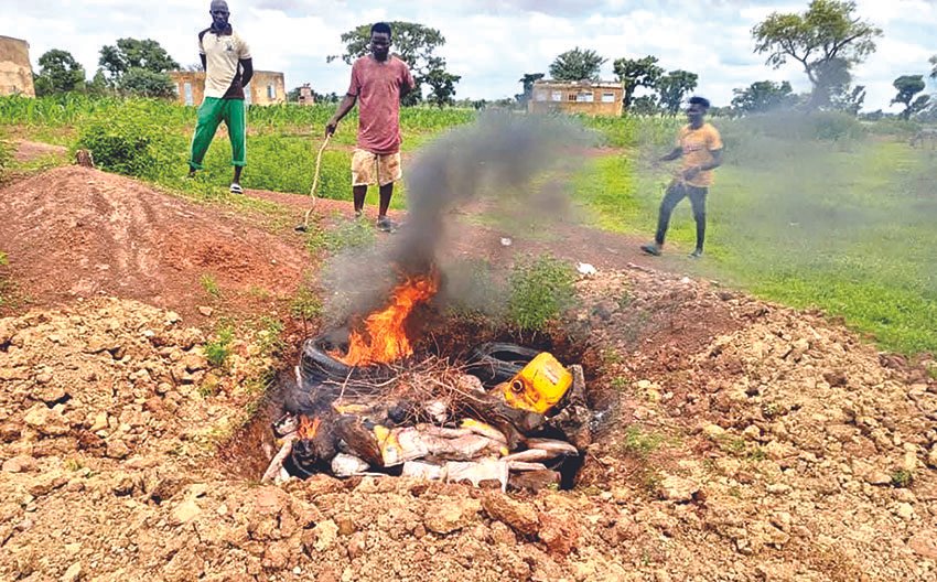Découpes de poulets congelées : environ 205 kg détruits