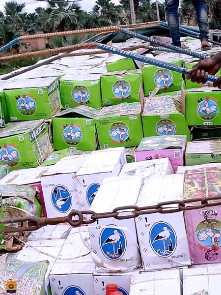 Lutte contre la fraude : Deux individus arrêtés et des produits saisis par la Brigade Territoriale de Gendarmerie de Moussodougou