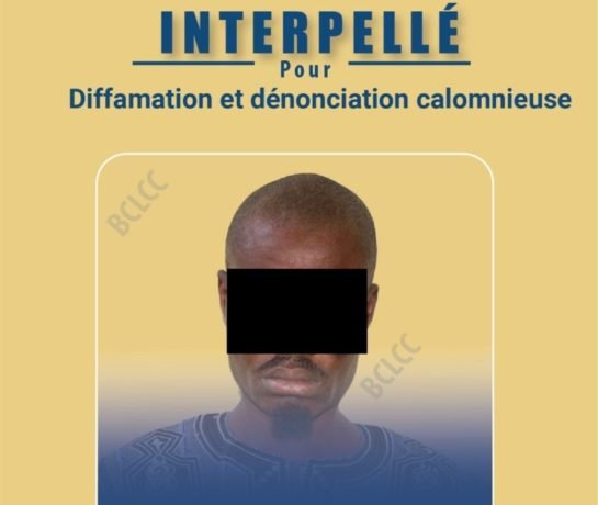 Lutte contre la cybercriminalité : Un individu arrêté pour diffamation et dénonciation calomnieuse en ligne