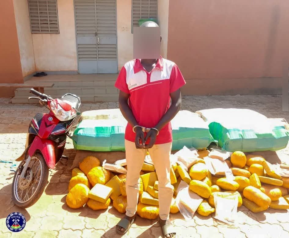 Lutte contre le trafic de stupéfiants : La Police Nationale saisit plus de 500 kg de chanvre indien à Kaya et Ouagadougou.