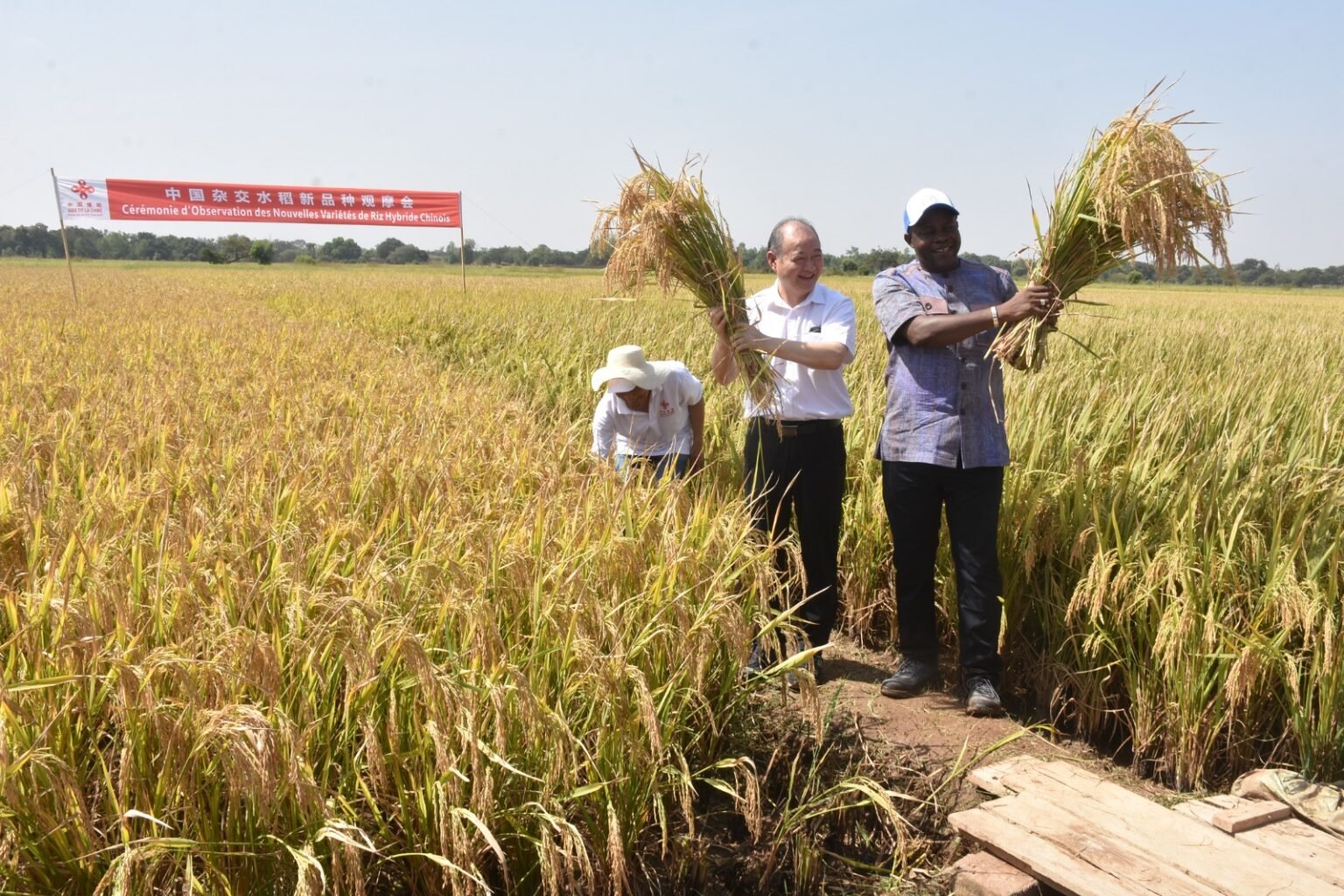 Festival des moissons 2025 : Chinois et Burkinabè moissonnent à Boulbi
