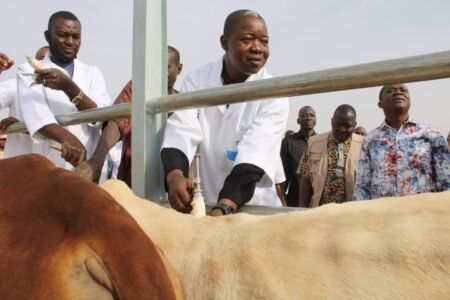Offensive agropastorale et halieutique: le gouverneur de Yaadga s’assure de l’effectivité de la campagne de vaccination animale