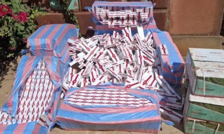 Lutte contre la fraude: plus de 20 tonnes de sachets plastiques saisies par la douane