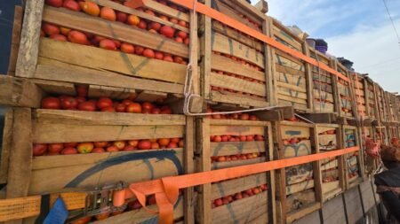Fraude déjouée : plus de 100 millions de francs de tomates et d’oignons saisies