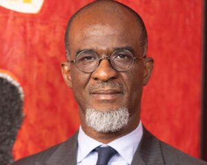 Stanislas Zézé, fondateur de Bloomfield Investment Corporation: « La souveraineté de l’Afrique, on peut ralentir le processus, mais pas l’arrêter »