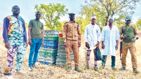 Gaoua: 6 000 poussins frauduleux saisis
